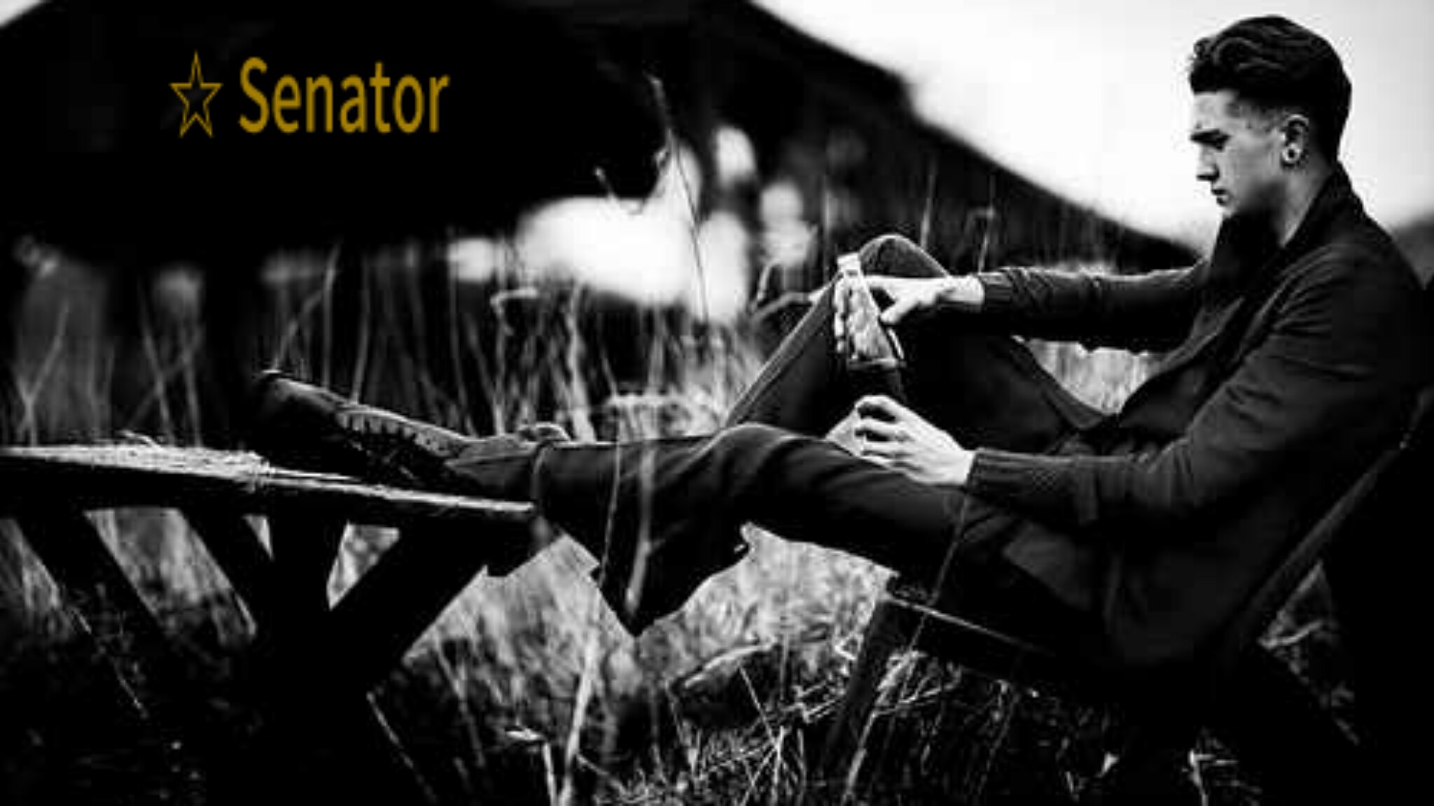 Picsart banner for @senators