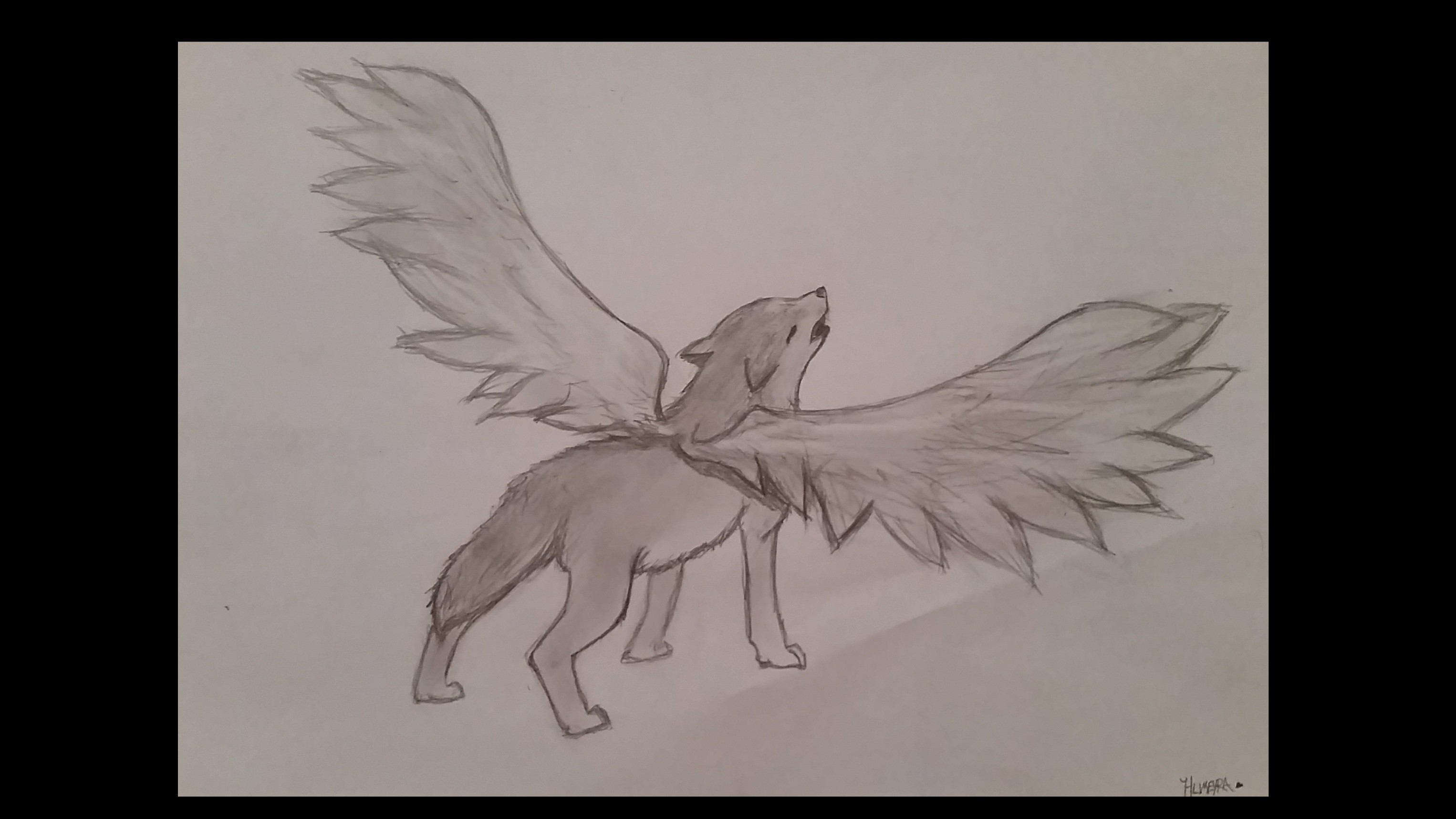 wolves with wings drawings howling